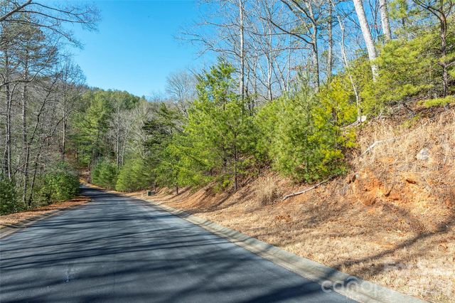 99999 Caddis Lane 92, Horse Shoe, NC 28742