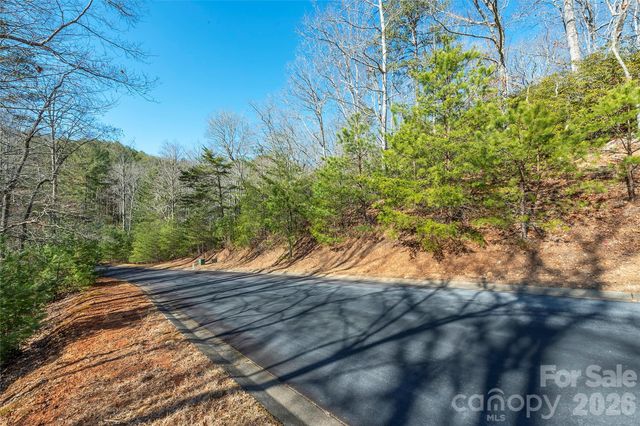 99999 Caddis Lane 92, Horse Shoe, NC 28742
