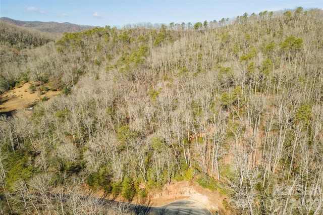 99999 Caddis Lane 92, Horse Shoe, NC 28742
