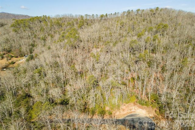 99999 Caddis Lane 92, Horse Shoe, NC 28742