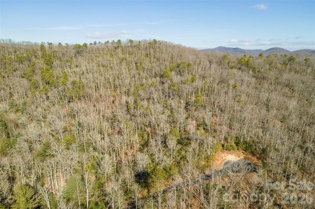 99999 Caddis Lane 92, Horse Shoe, NC 28742