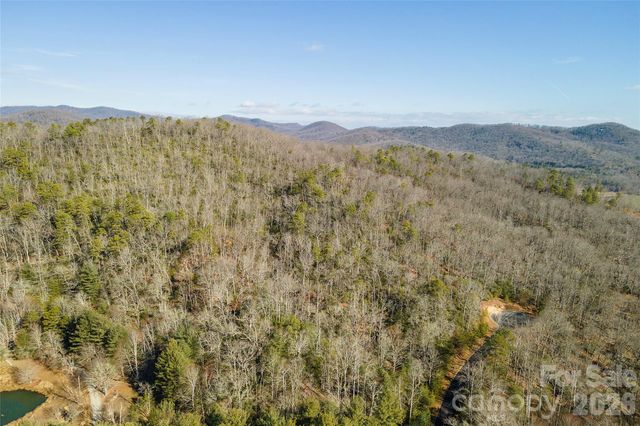 99999 Caddis Lane 92, Horse Shoe, NC 28742