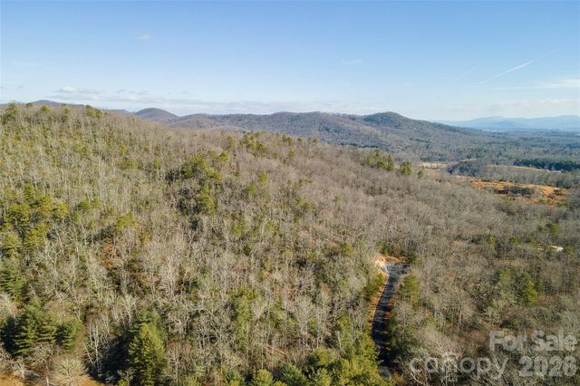 99999 Caddis Lane 92, Horse Shoe, NC 28742