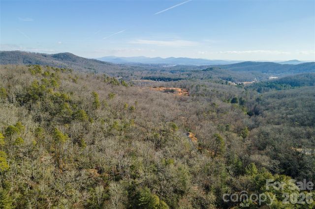 99999 Caddis Lane 92, Horse Shoe, NC 28742