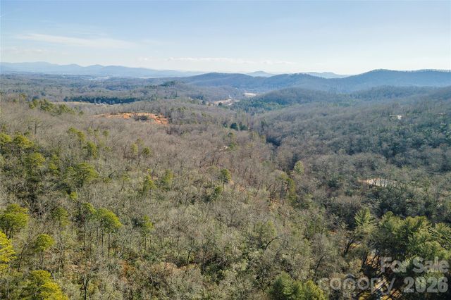 99999 Caddis Lane 92, Horse Shoe, NC 28742