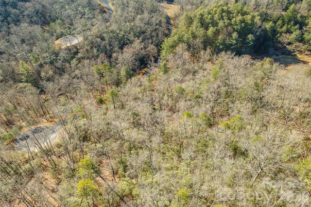99999 Caddis Lane 92, Horse Shoe, NC 28742