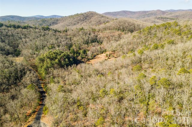 99999 Caddis Lane 92, Horse Shoe, NC 28742