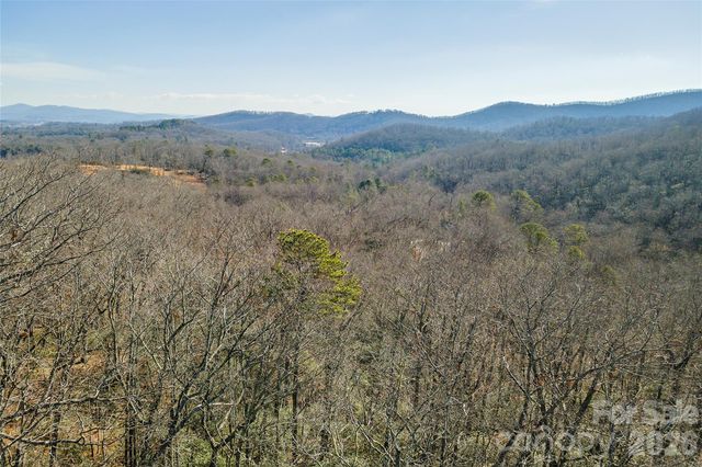 99999 Caddis Lane 92, Horse Shoe, NC 28742
