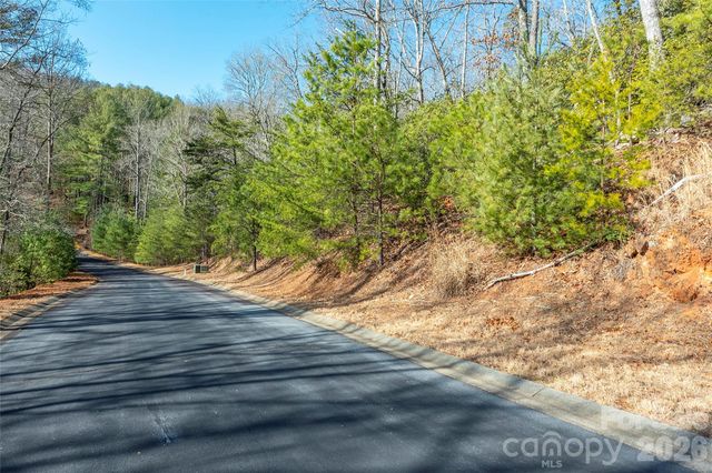 99999 Caddis Lane 92, Horse Shoe, NC 28742