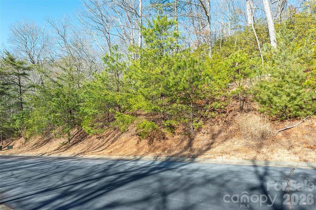 99999 Caddis Lane 92, Horse Shoe, NC 28742