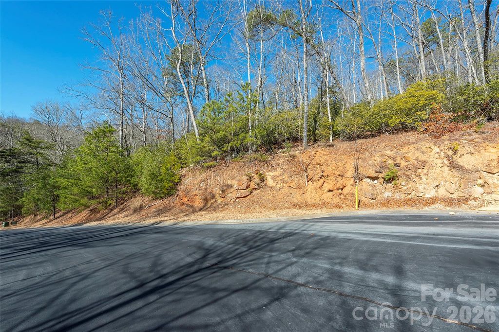 99999 Caddis Lane 92, Horse Shoe, NC 28742