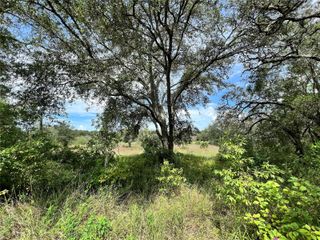 13339 VIVIAN LANE, Hudson, FL 34669