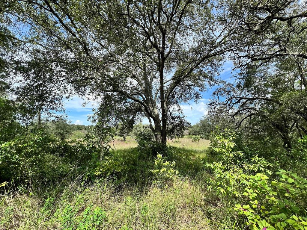 13339 VIVIAN LANE, Hudson, FL 34669