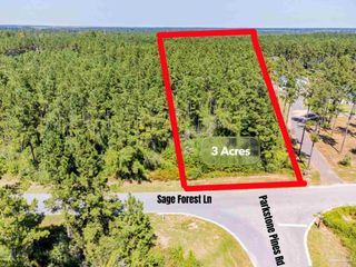 002 Sage Forest Ln https://1drv.ms/v/c/6cf2e6b2608c5d27/EZSMN42Sce9En, Pace, FL 32571