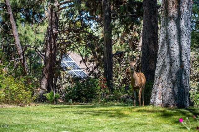 2258 NW 6th Street, Bend, OR 97703