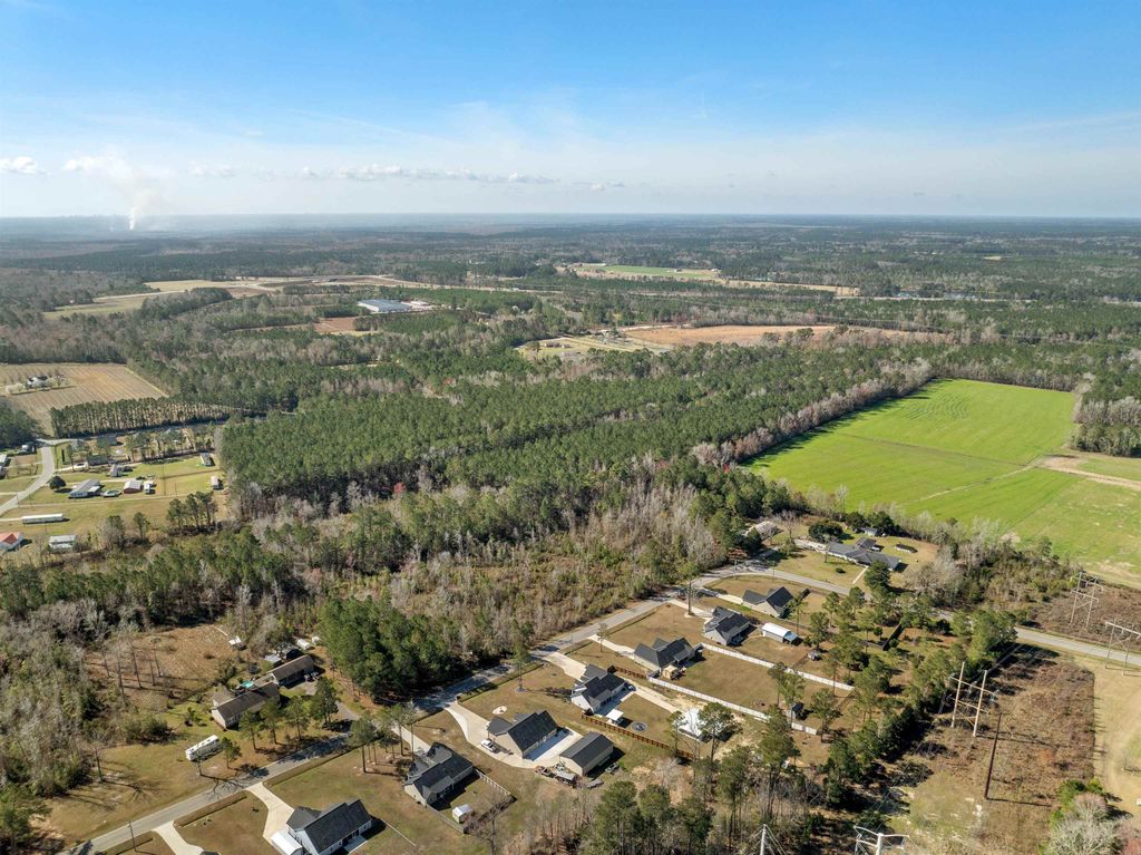 TBD - Lot 1 & 2 Daphane Dr., Loris, SC 29569 — photo 5