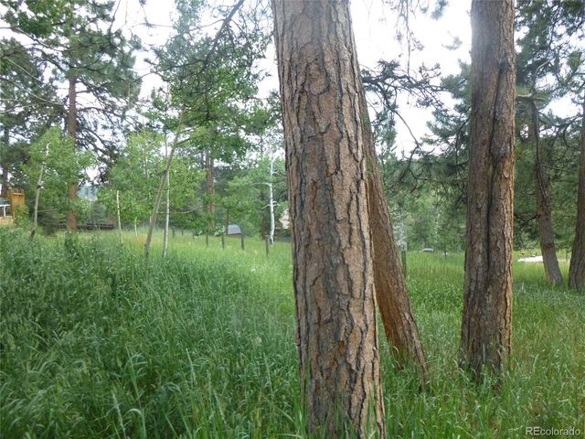 28688 Aspen Dr, Conifer, CO 80433