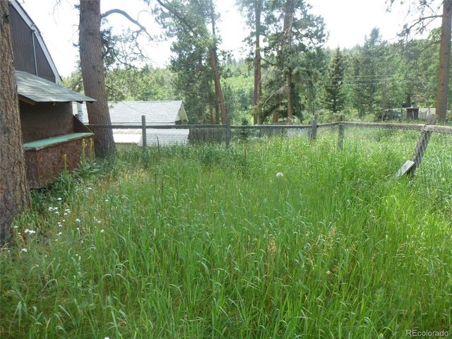 28688 Aspen Dr, Conifer, CO 80433