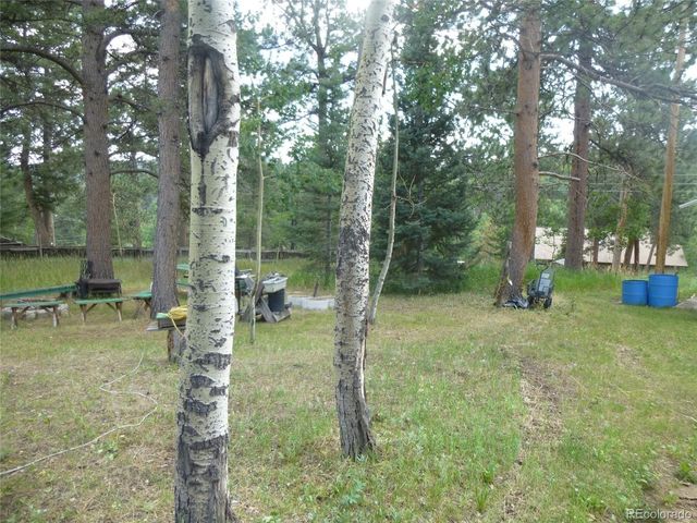 28688 Aspen Dr, Conifer, CO 80433