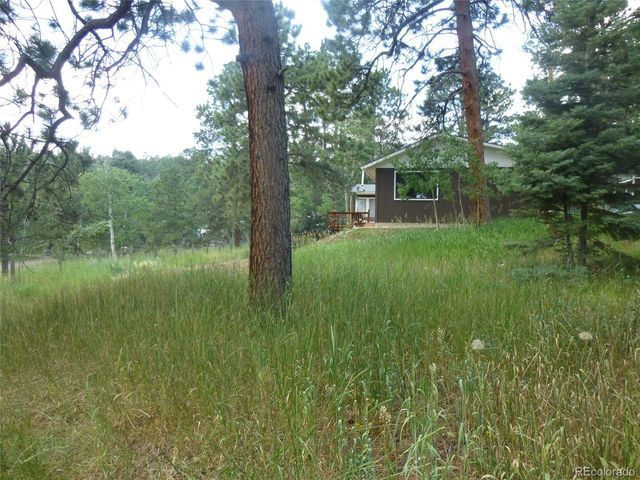 28688 Aspen Dr, Conifer, CO 80433
