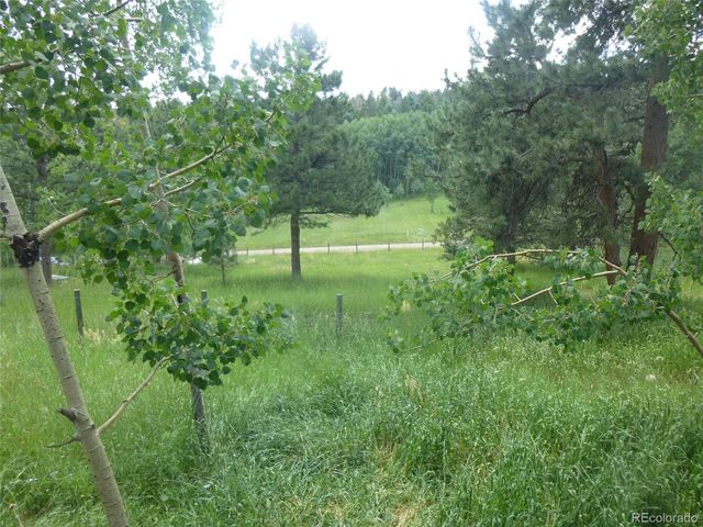 28688 Aspen Dr, Conifer, CO 80433