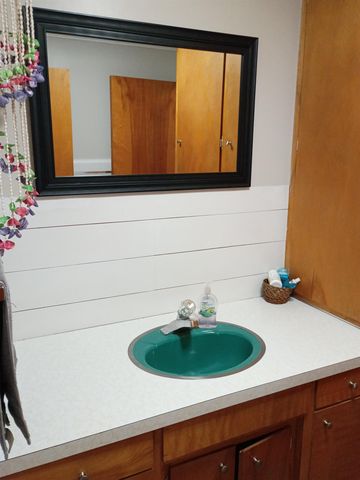 715 Monument Road, Baldwin Twp, MI 48763