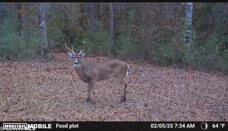 0 Cactus Court, Elberta, AL 36530