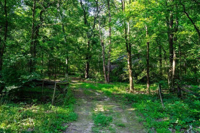 1688 Ga 136, Trenton, GA 30752