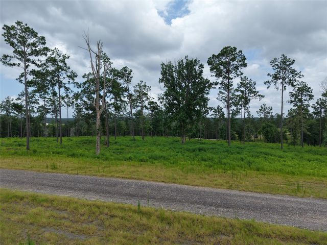 Lot 82 Grace Circle, Livingston, TX 77351