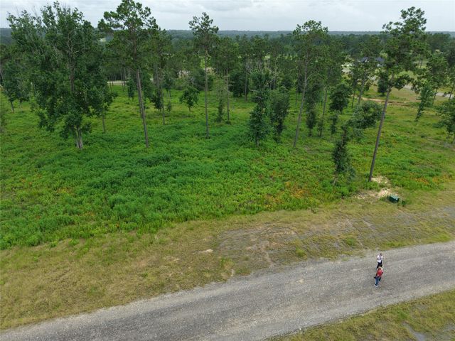 Lot 82 Grace Circle, Livingston, TX 77351