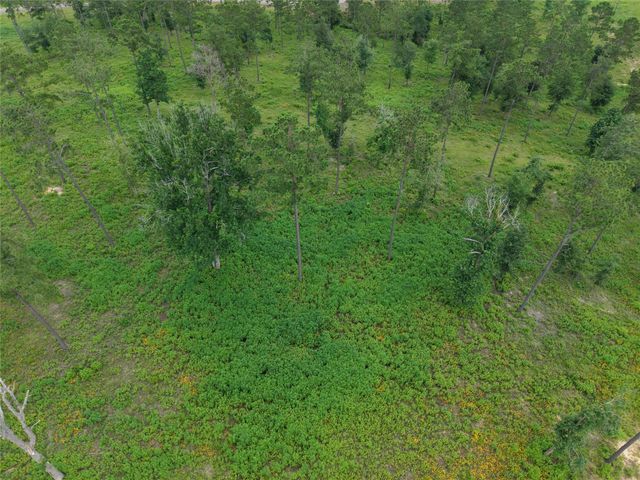 Lot 82 Grace Circle, Livingston, TX 77351