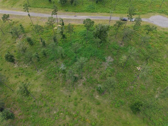 Lot 82 Grace Circle, Livingston, TX 77351