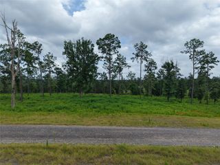 Lot 82 Grace Circle, Livingston, TX 77351