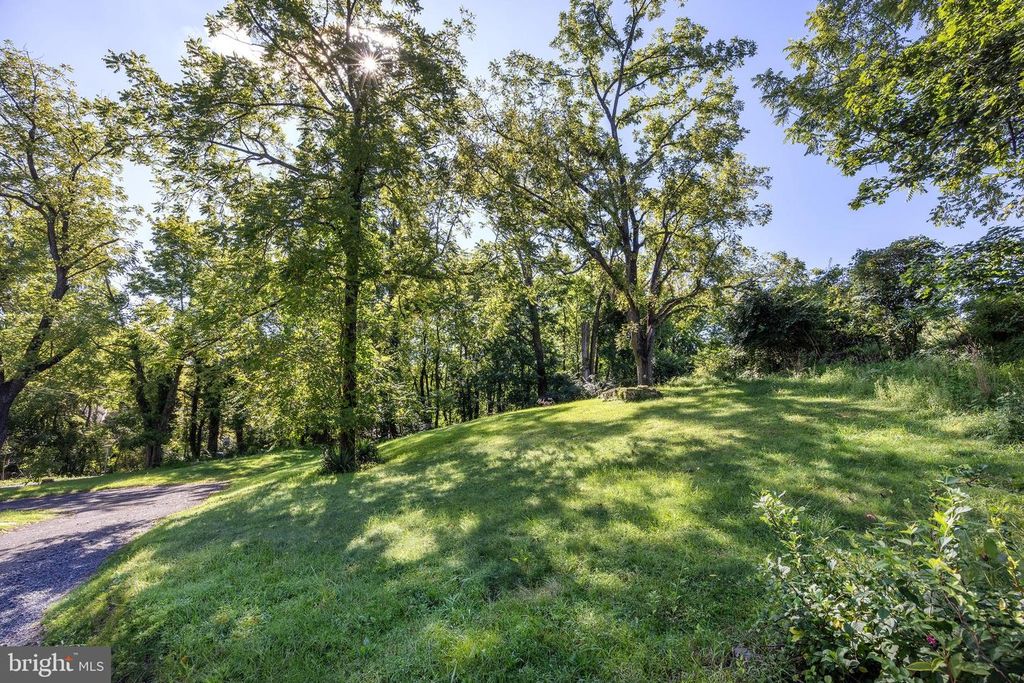 6192 LOWER YORK RD, NEW HOPE, PA 18938 — photo 4