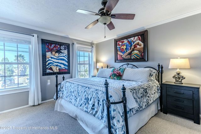 3308 Oleander Drive, Hernando Beach, FL 34607