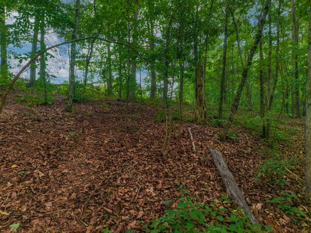 0 Hobgood Road, Rydal, GA 30171