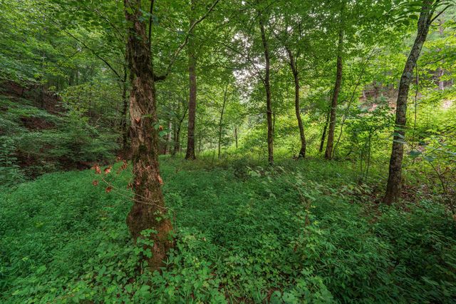 0 Hobgood Road, Rydal, GA 30171