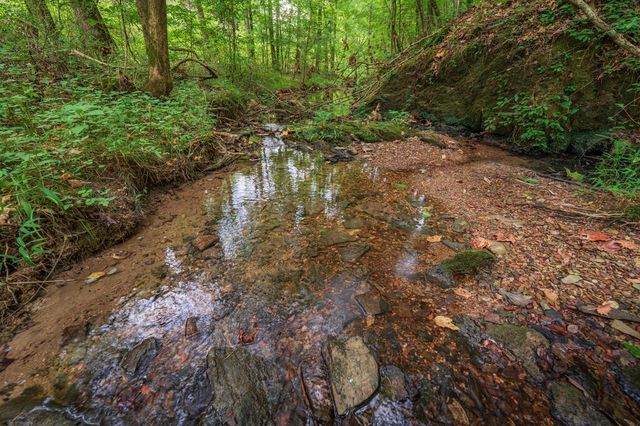 0 Hobgood Road, Rydal, GA 30171