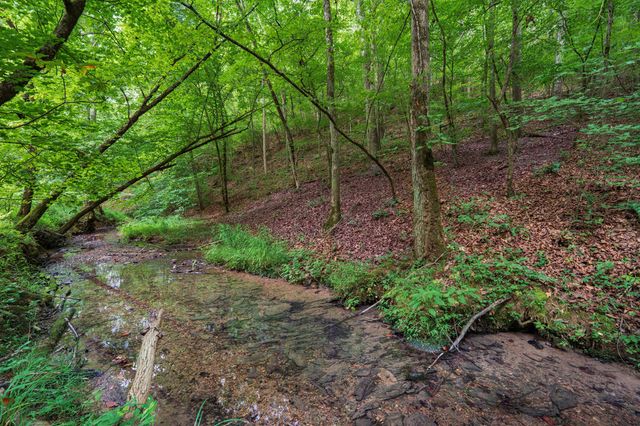 0 Hobgood Road, Rydal, GA 30171