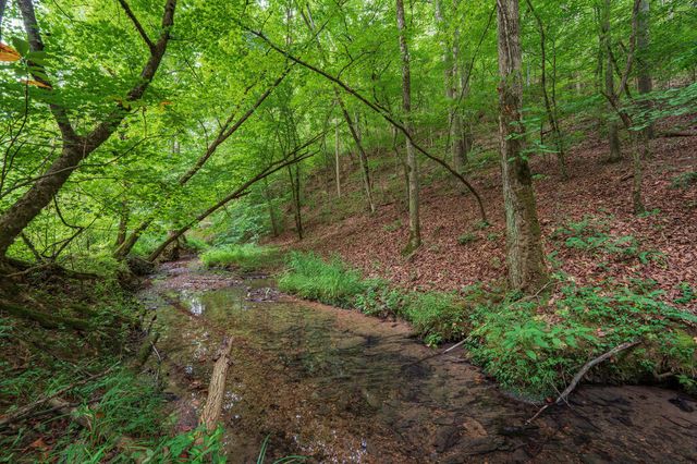 0 Hobgood Road, Rydal, GA 30171
