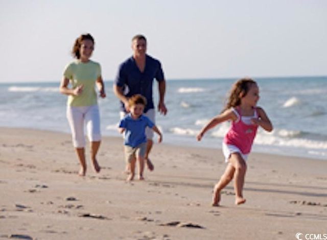 158 River Birch Dr., Loris, SC 29569