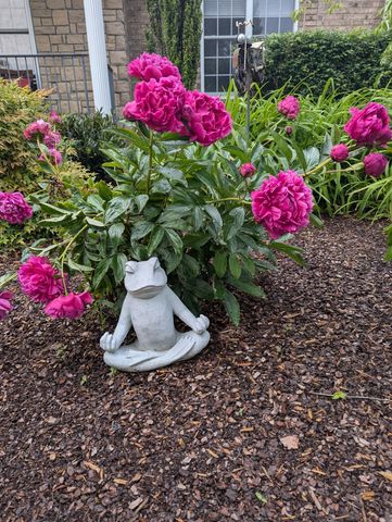 1003 Thistle Ct, Hendersonville, TN 37075