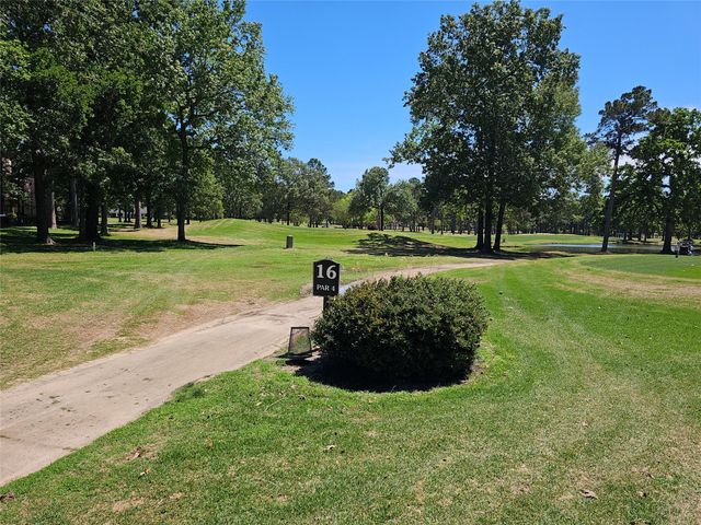 17 Presidio Road, Montgomery, TX 77356