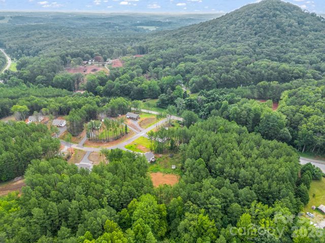 47 Heartleaf Lane, Columbus, NC 28722