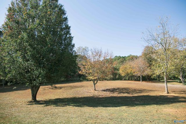 55101 State Highway 79, Blountsville, AL 35031