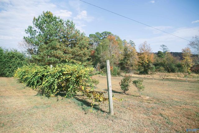 55101 State Highway 79, Blountsville, AL 35031