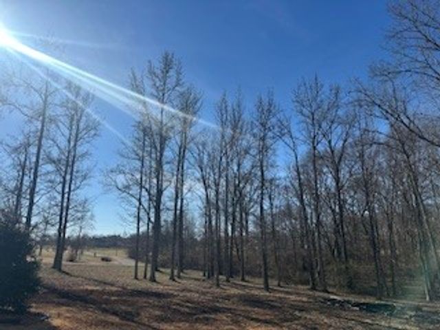 25 Max Dr, Paris, TN 38242