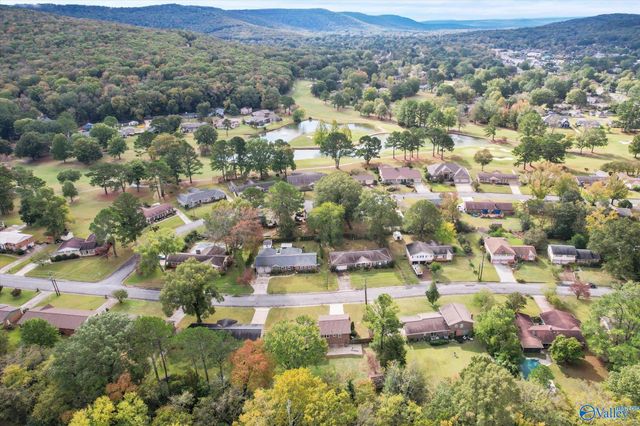 1217 Briar Hollow Trail, Huntsville, AL 35802