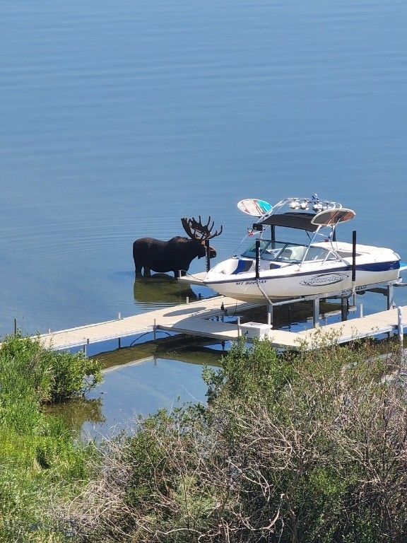 22 Jordan Lane N, McAllister, MT 59729 photo 73