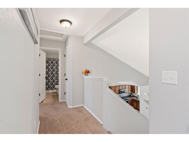 956 Maplebrook Dr, Windsor, CO 80550